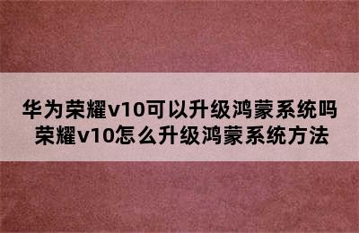 华为荣耀v10可以升级鸿蒙系统吗 荣耀v10怎么升级鸿蒙系统方法